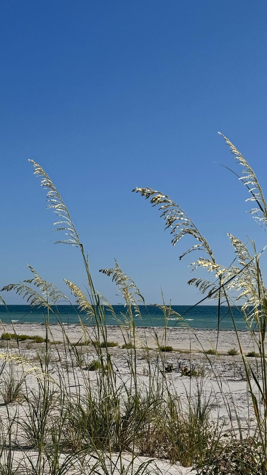 Slow down with us this summer on the infamous St. Pete Beach 🌊🐚

#beachday #stpete #stpetebeach #slowlivingsummer #saltyskin #summer #summervibes